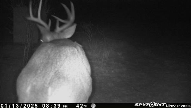 0 Blackbrush Spur, George West, TX 78022