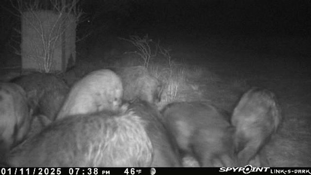 0 Blackbrush Spur, George West, TX 78022