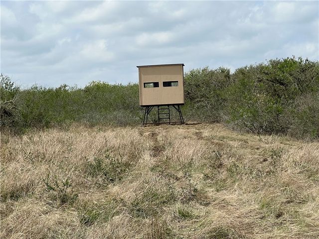 0 Blackbrush Spur, George West, TX 78022