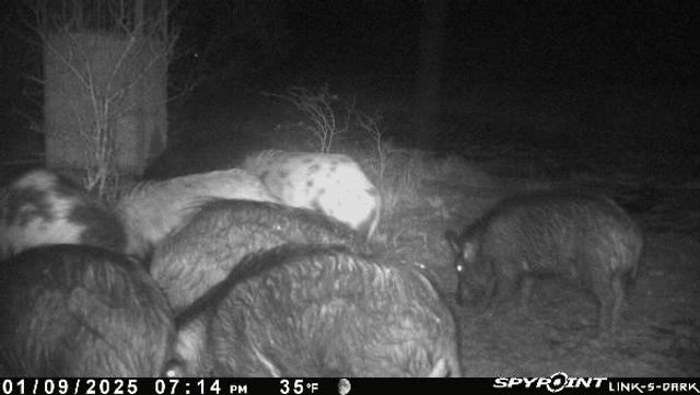 0 Blackbrush Spur, George West, TX 78022