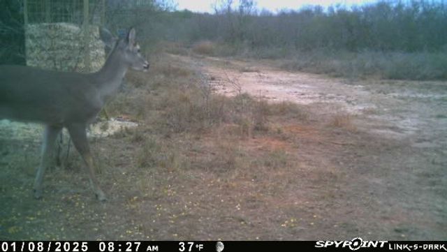 0 Blackbrush Spur, George West, TX 78022