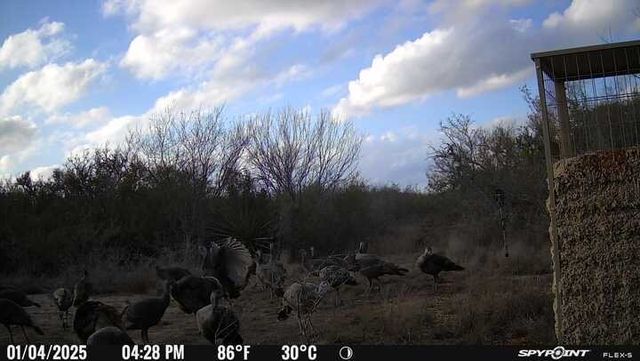 0 Blackbrush Spur, George West, TX 78022