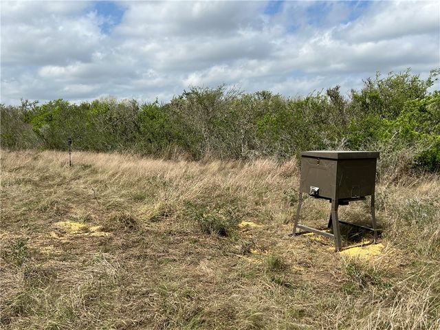 0 Blackbrush Spur, George West, TX 78022