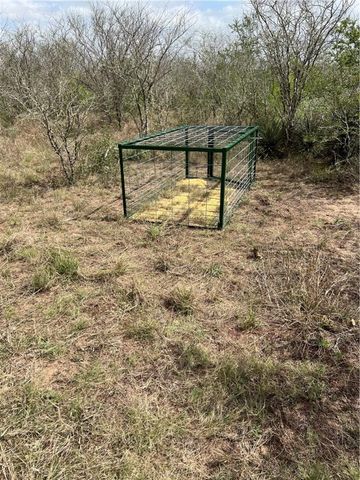 0 Blackbrush Spur, George West, TX 78022