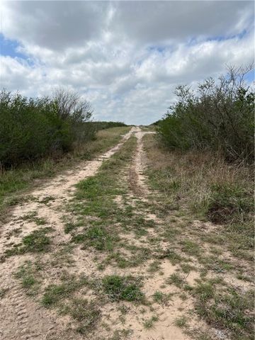 0 Blackbrush Spur, George West, TX 78022
