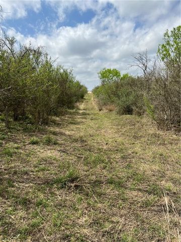 0 Blackbrush Spur, George West, TX 78022