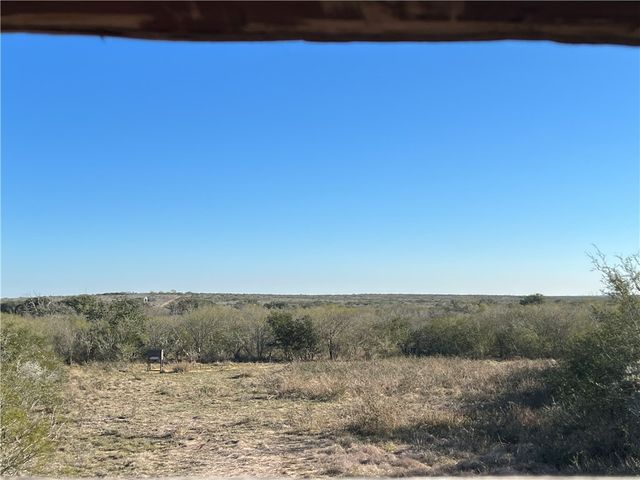 0 Blackbrush Spur, George West, TX 78022