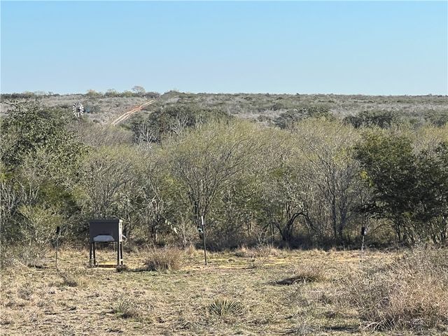 0 Blackbrush Spur, George West, TX 78022