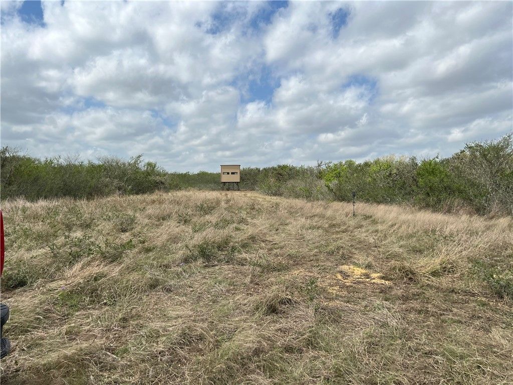 0 Blackbrush Spur, George West, TX 78022