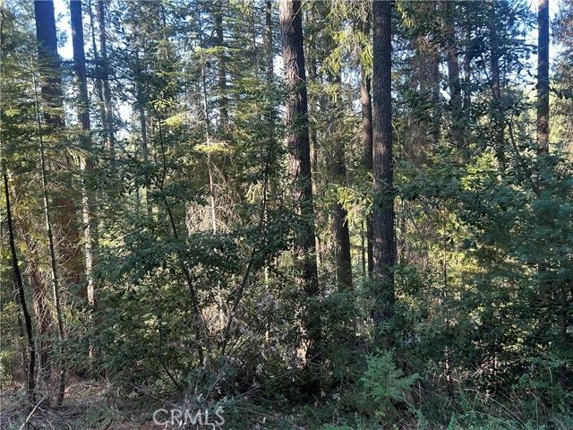 6418 Hupp Coutolenc Road, Magalia, CA 95954