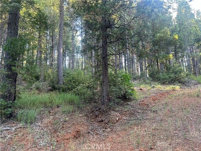 6418 Hupp Coutolenc Road, Magalia, CA 95954