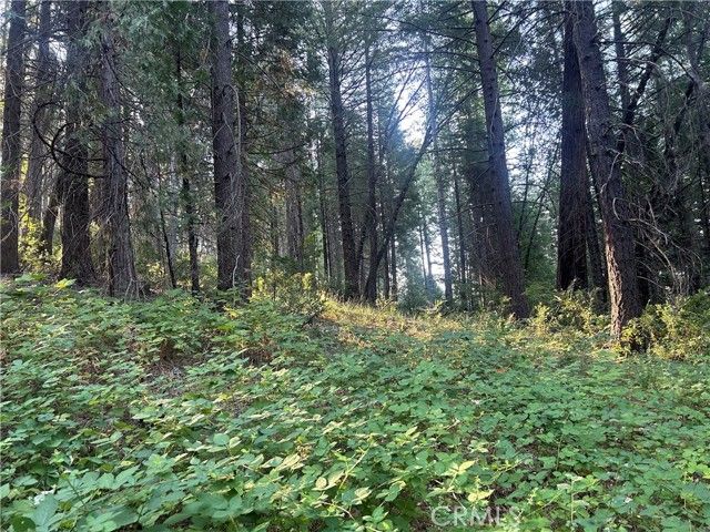 6418 Hupp Coutolenc Road, Magalia, CA 95954