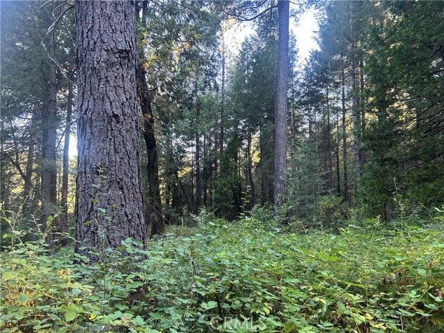 6418 Hupp Coutolenc Road, Magalia, CA 95954