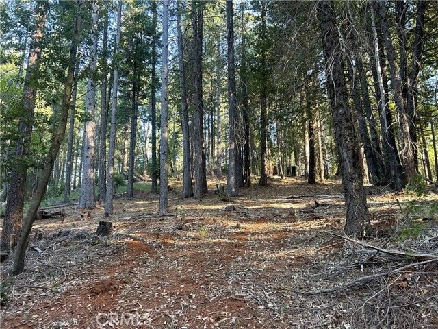 6418 Hupp Coutolenc Road, Magalia, CA 95954