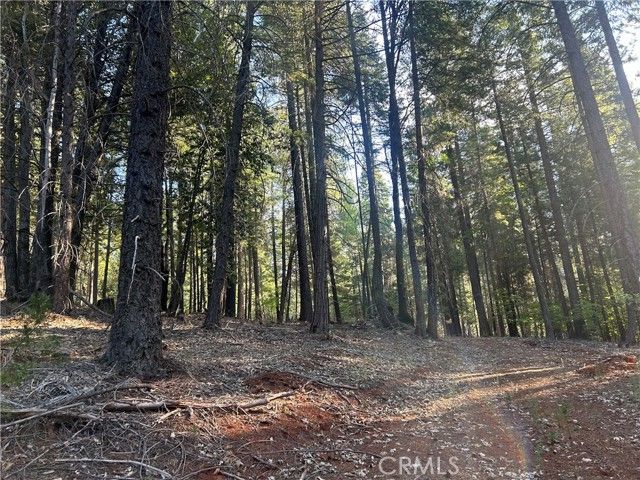 6418 Hupp Coutolenc Road, Magalia, CA 95954