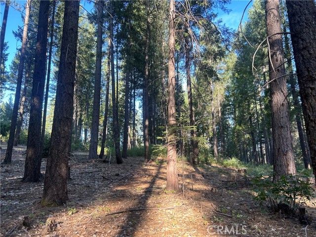 6418 Hupp Coutolenc Road, Magalia, CA 95954