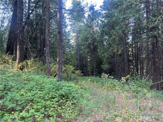 6418 Hupp Coutolenc Road, Magalia, CA 95954