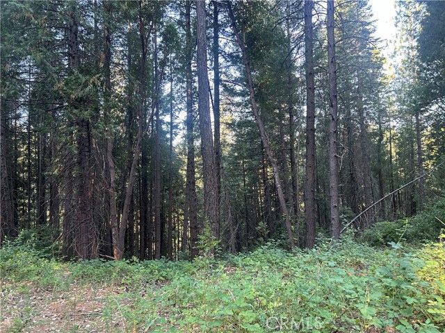 6418 Hupp Coutolenc Road, Magalia, CA 95954