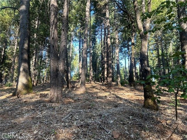 6418 Hupp Coutolenc Road, Magalia, CA 95954