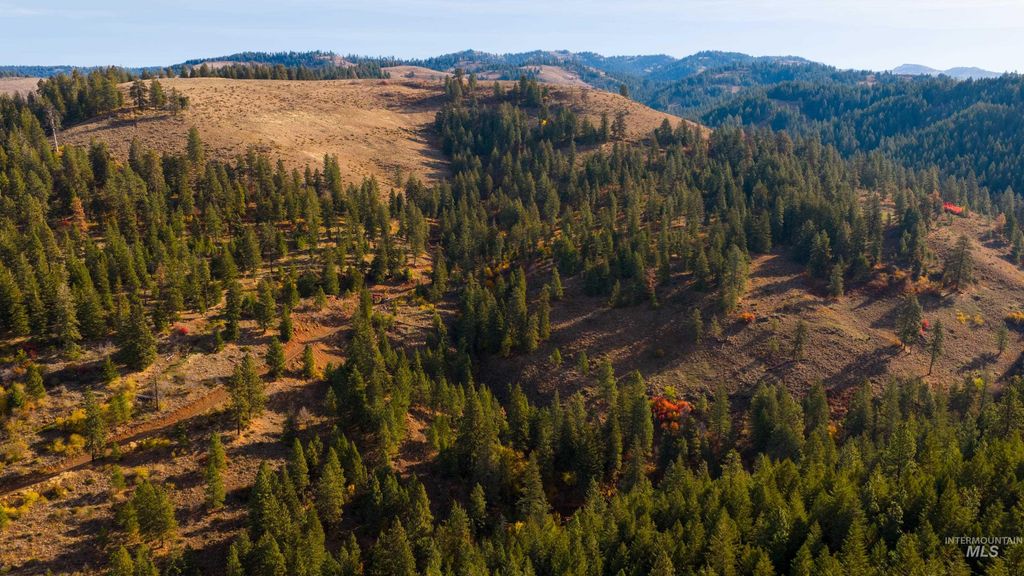 TBD Tbd Entire Ranch, Council, ID 83612 photo 20