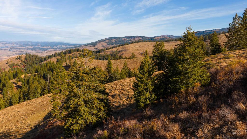 TBD Tbd Entire Ranch, Council, ID 83612 photo 21