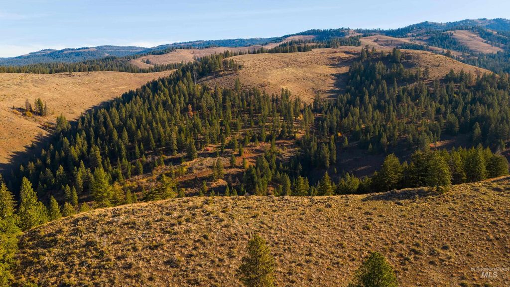 TBD Tbd Entire Ranch, Council, ID 83612 photo 24