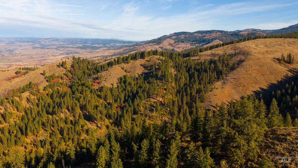 TBD Tbd Entire Ranch, Council, ID 83612 photo 25