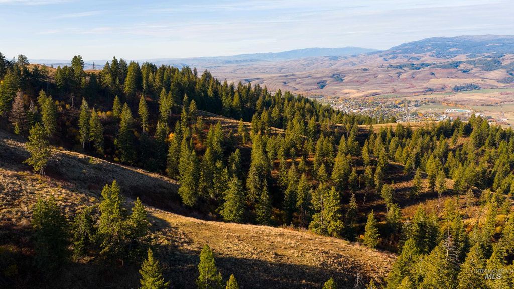 TBD Tbd Entire Ranch, Council, ID 83612 photo 26