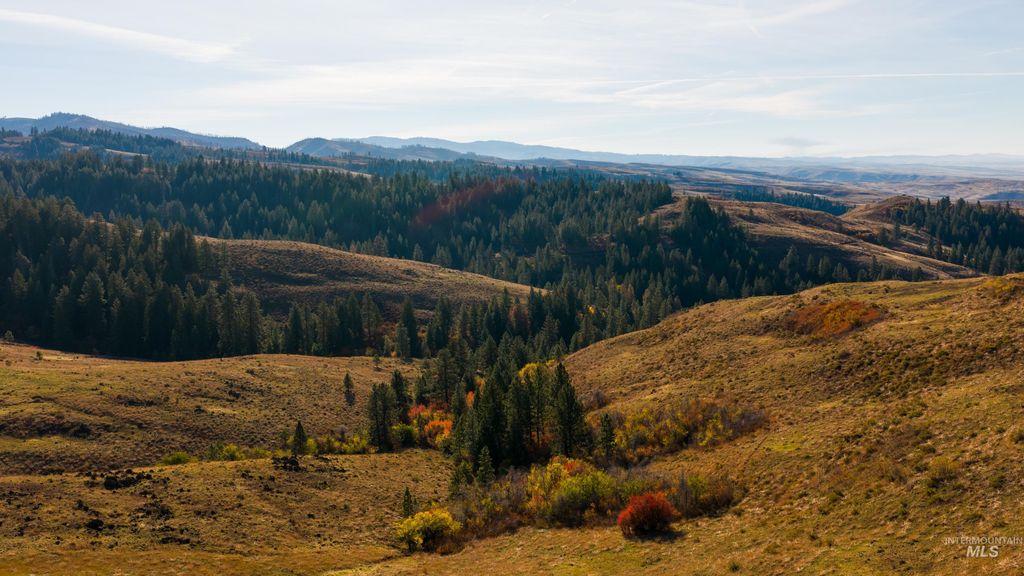 TBD Tbd Entire Ranch, Council, ID 83612 photo 29