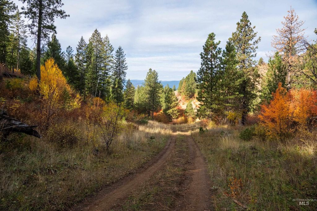 TBD Tbd Entire Ranch, Council, ID 83612 photo 39