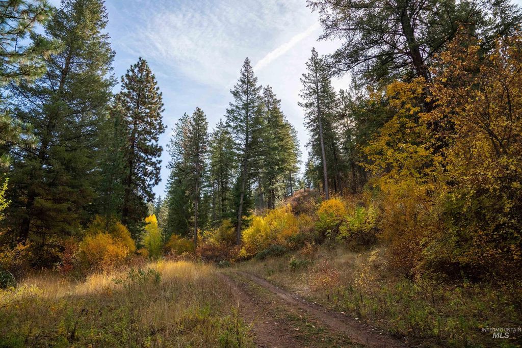 TBD Tbd Entire Ranch, Council, ID 83612 photo 40