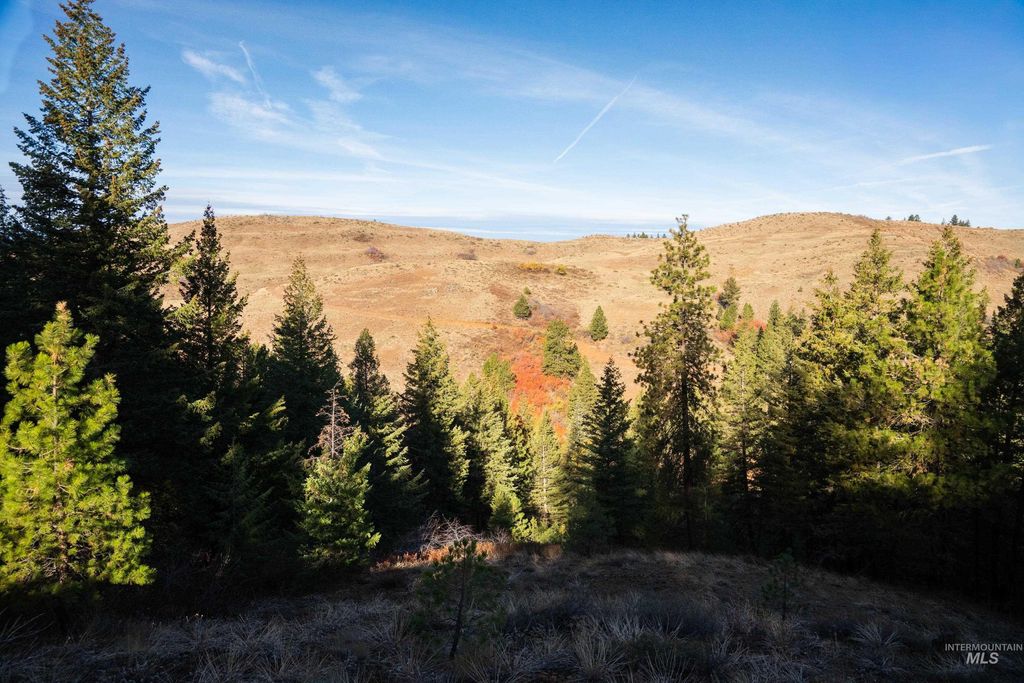 TBD Tbd Entire Ranch, Council, ID 83612 photo 42