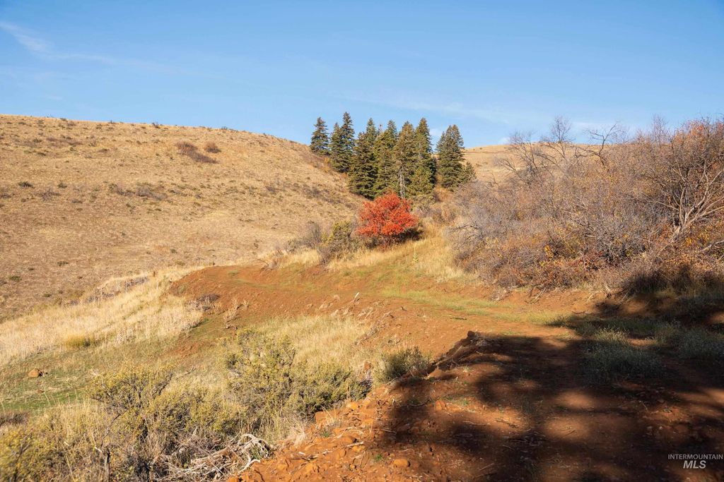 TBD Tbd Entire Ranch, Council, ID 83612 photo 43