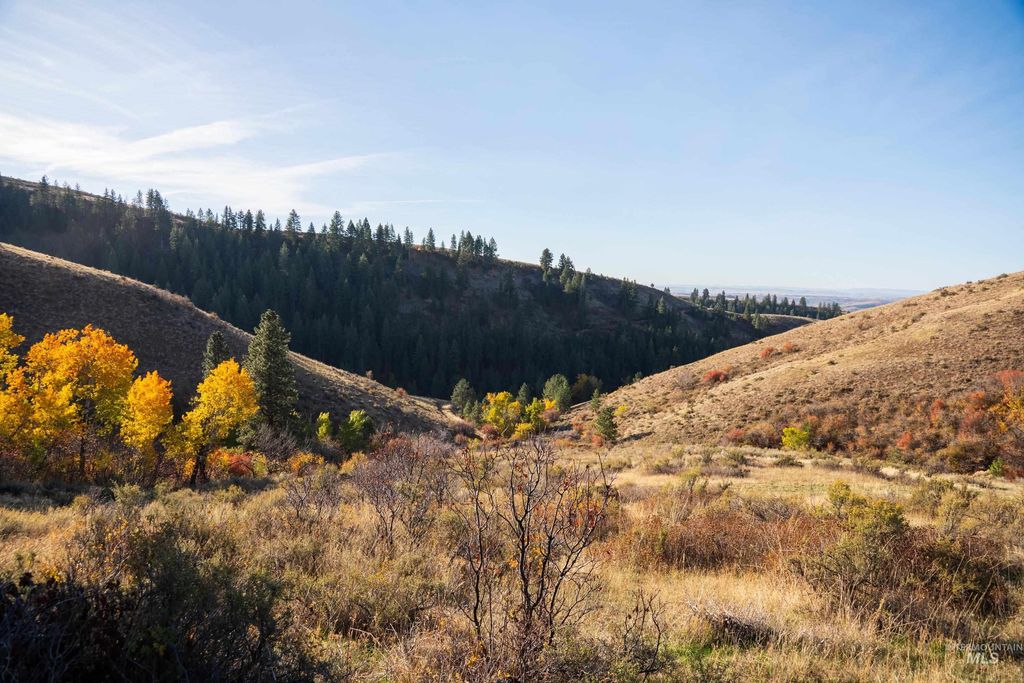 TBD Tbd Entire Ranch, Council, ID 83612 photo 44