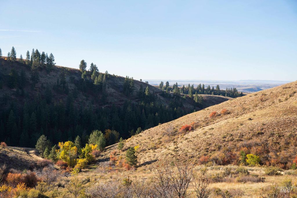 TBD Tbd Entire Ranch, Council, ID 83612 photo 45