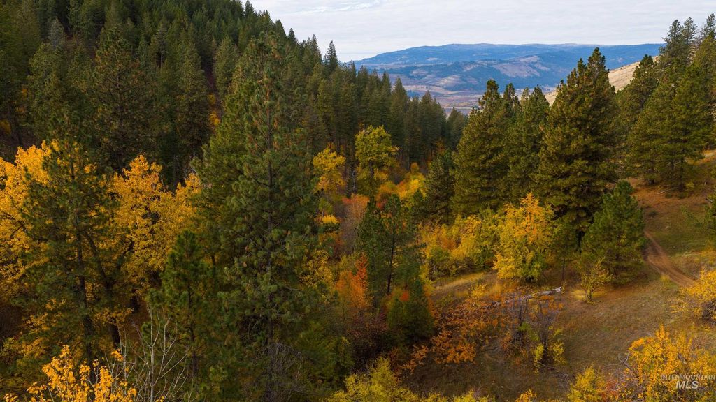 TBD Tbd Entire Ranch, Council, ID 83612 photo 6