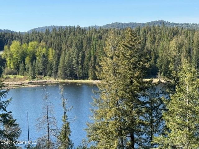 90 Shawnee PATH, Sagle, ID 83860