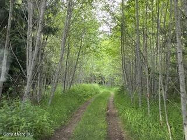 90 Shawnee PATH, Sagle, ID 83860