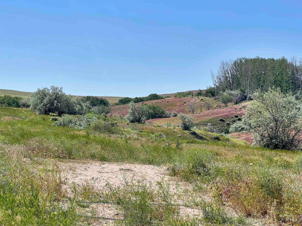 830 Snively Gulch Rd, Adrian, OR 97901 photo 10