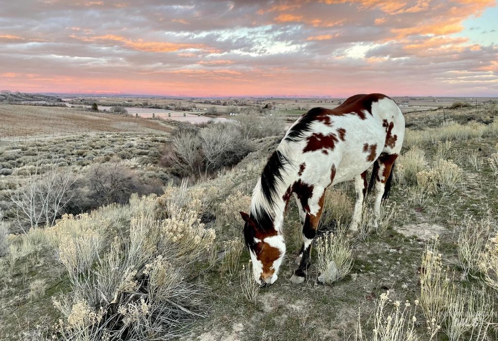 830 Snively Gulch Rd, Adrian, OR 97901 photo 16