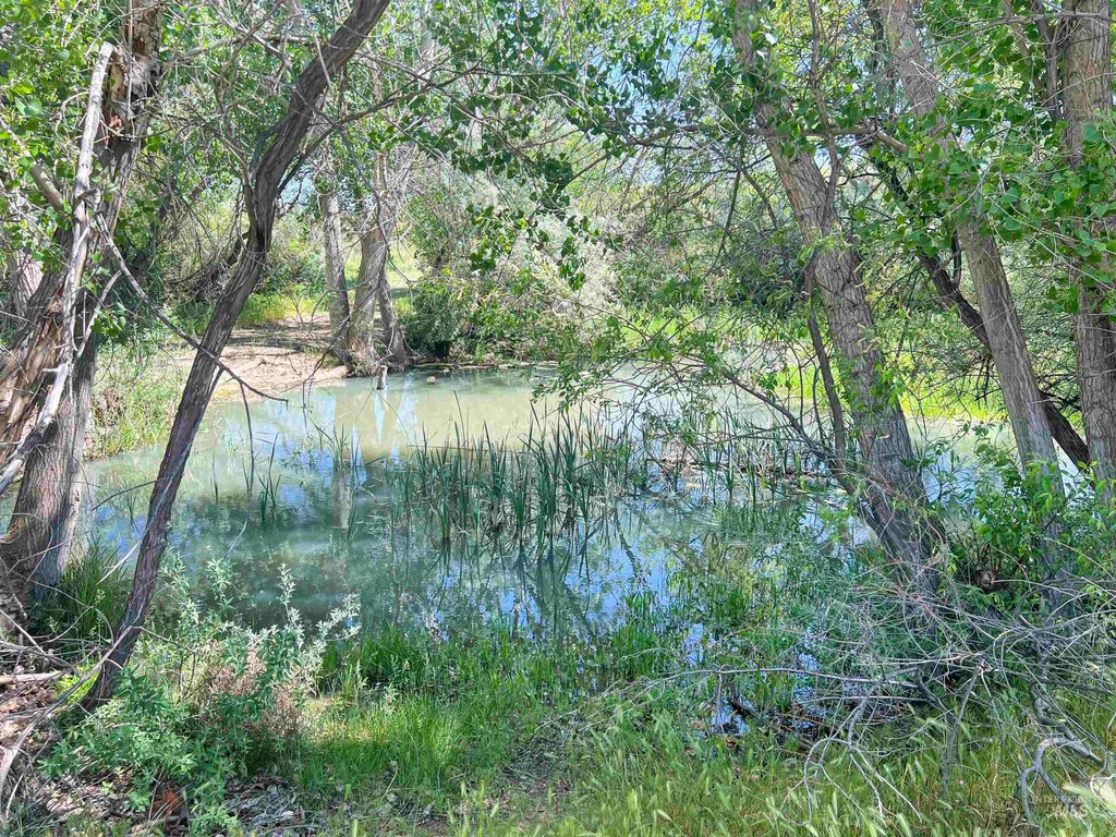 830 Snively Gulch Rd, Adrian, OR 97901 photo 2