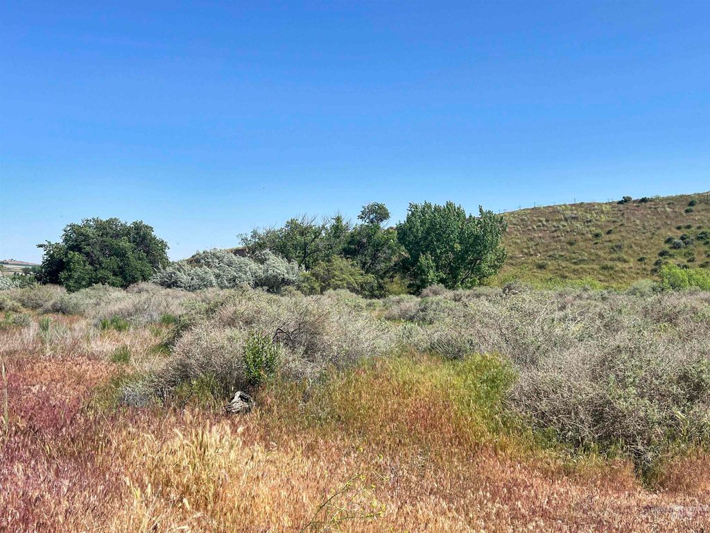 830 Snively Gulch Rd, Adrian, OR 97901 photo 34