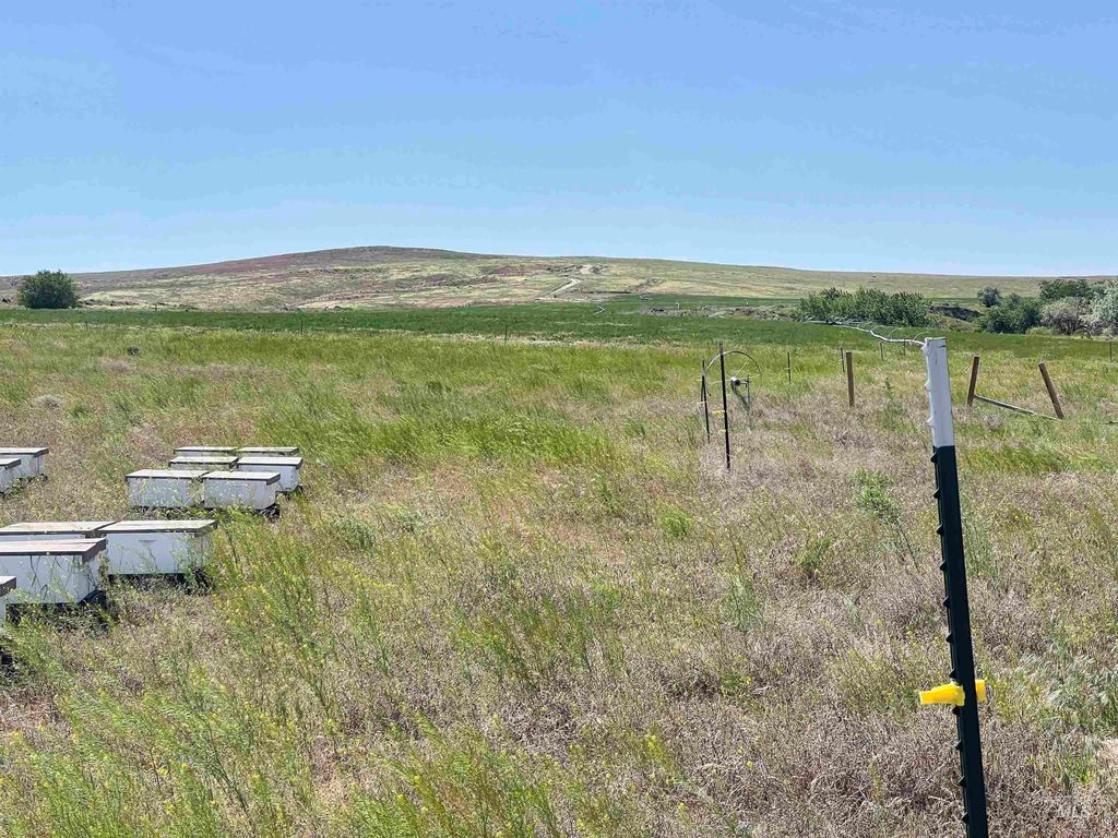 830 Snively Gulch Rd, Adrian, OR 97901 photo 7