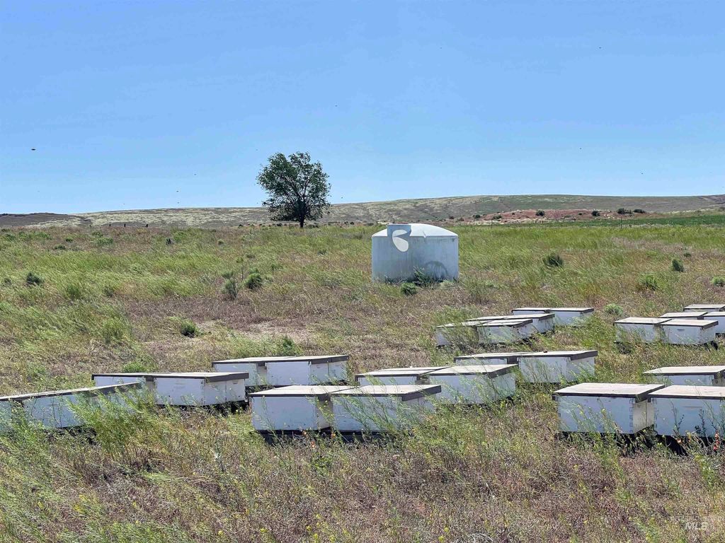 830 Snively Gulch Rd, Adrian, OR 97901 photo 8