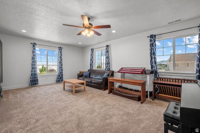 1693 N CENTER POINT LN, Salem, UT 84653