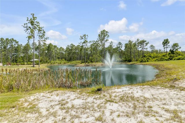 300 OMEGA RANCH ROAD, New Smyrna Beach, FL 32168