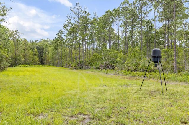 300 OMEGA RANCH ROAD, New Smyrna Beach, FL 32168