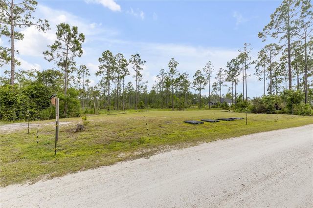 300 OMEGA RANCH ROAD, New Smyrna Beach, FL 32168