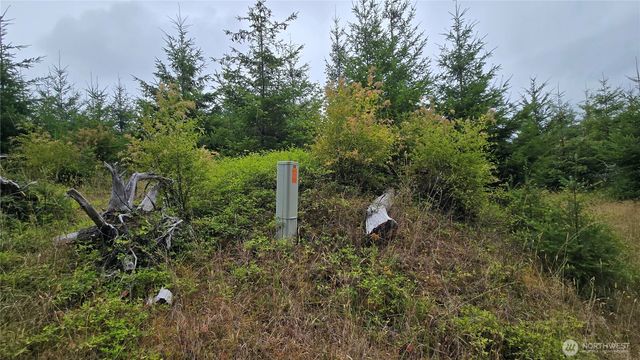 9207 Tract B Old Olympic Highway NW, Olympia, WA 98502