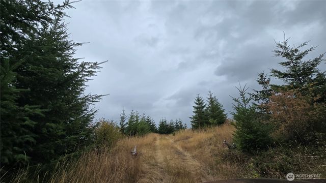 9207 Tract B Old Olympic Highway NW, Olympia, WA 98502